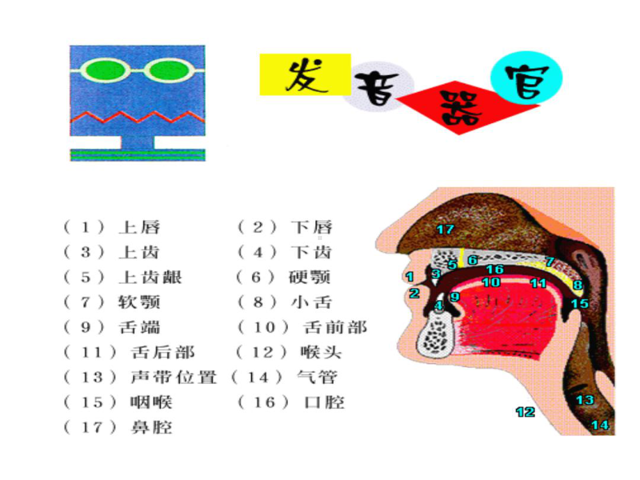 音标课件-带发音.ppt_第1页