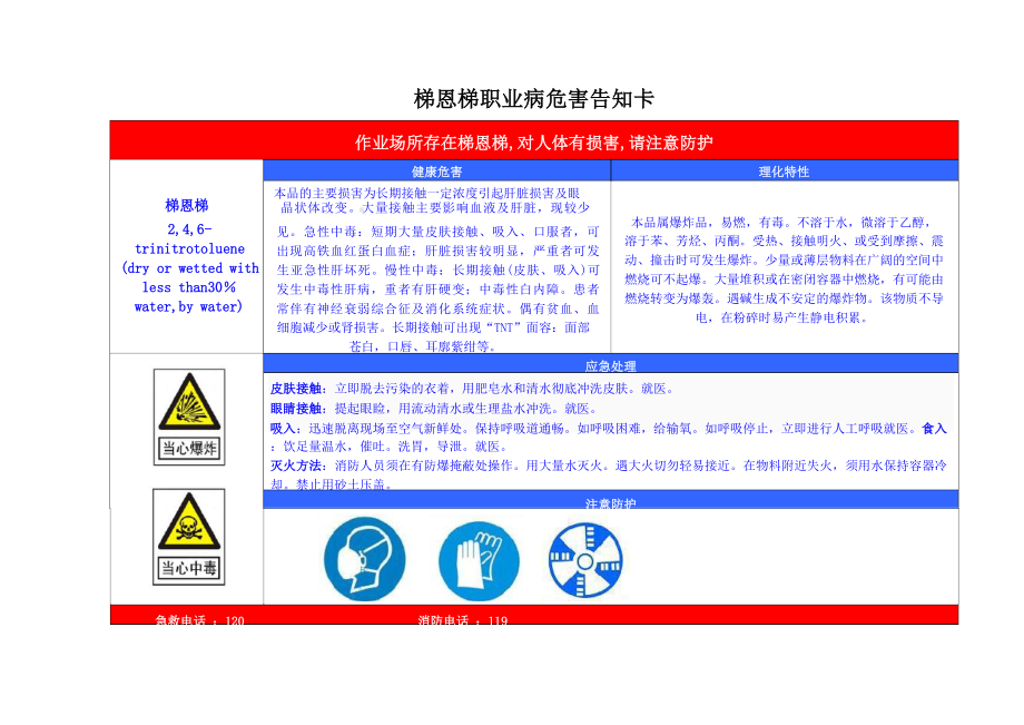 梯恩梯安全周知卡、职业危害告知卡、理化特性表.docx_第2页