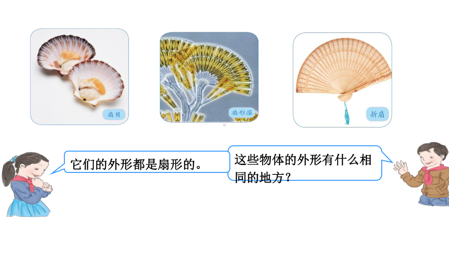 六年级上册数学课件-5.4 扇形 ︳人教新课标(共21张PPT).ppt_第2页