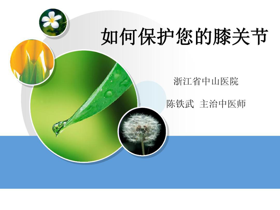 膝关节健康教育课件.ppt_第1页