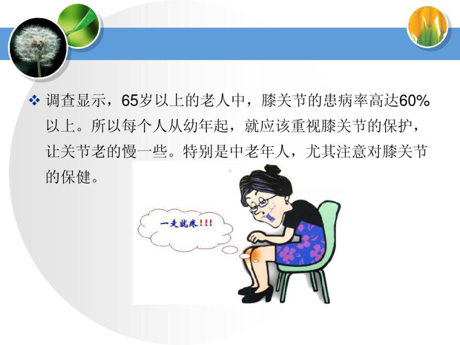 膝关节健康教育课件.ppt_第3页