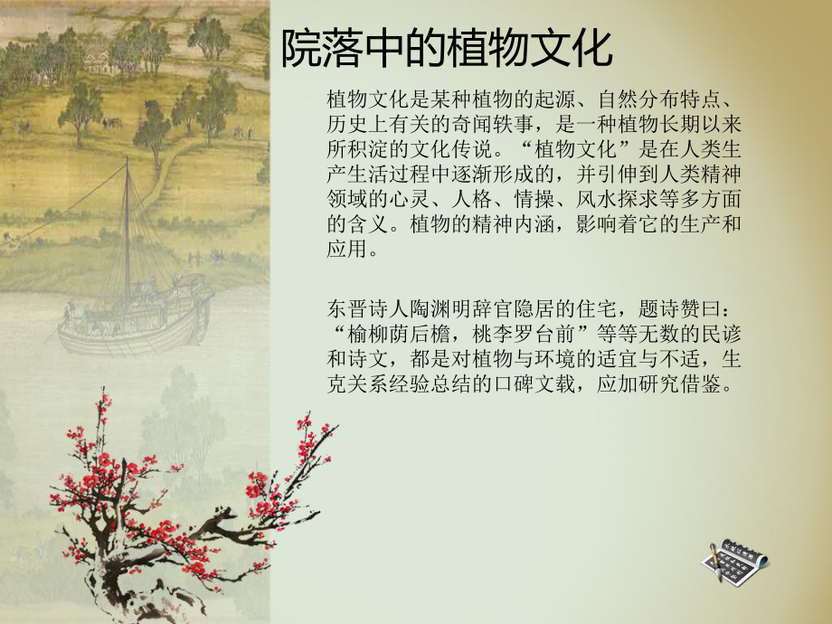 院落中的植物文化课件.ppt_第1页