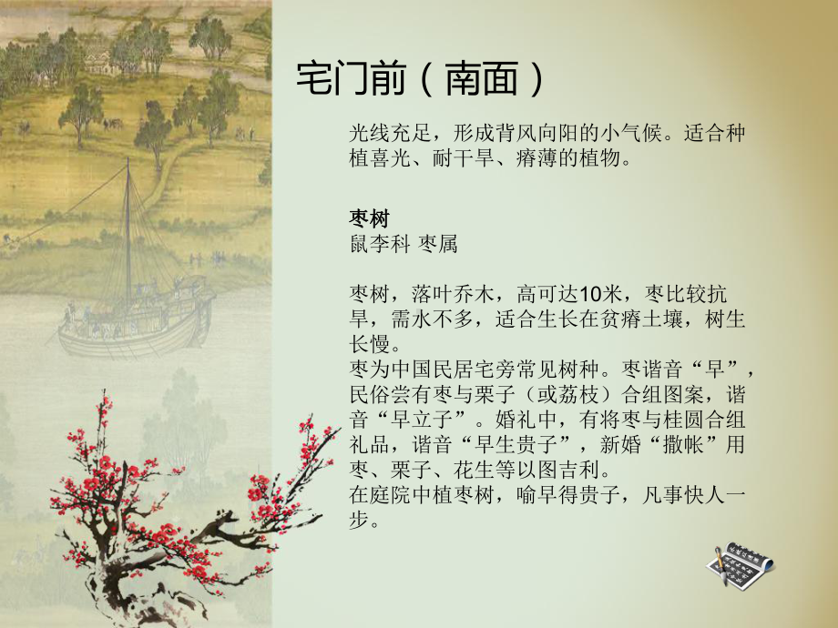 院落中的植物文化课件.ppt_第3页