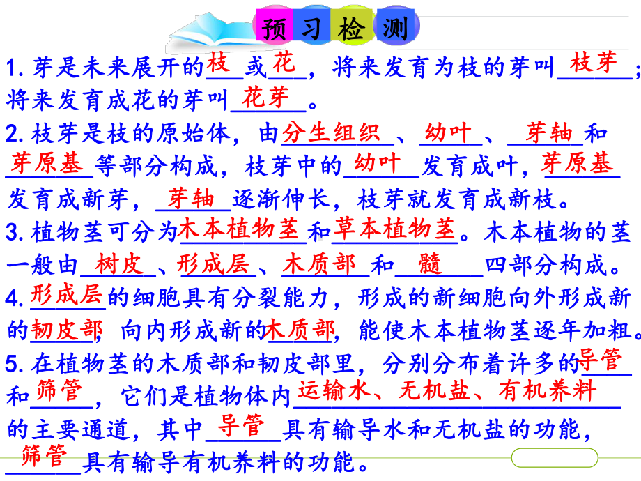 苏教版七年级上册54植物茎的输导功能课件.pptx_第3页