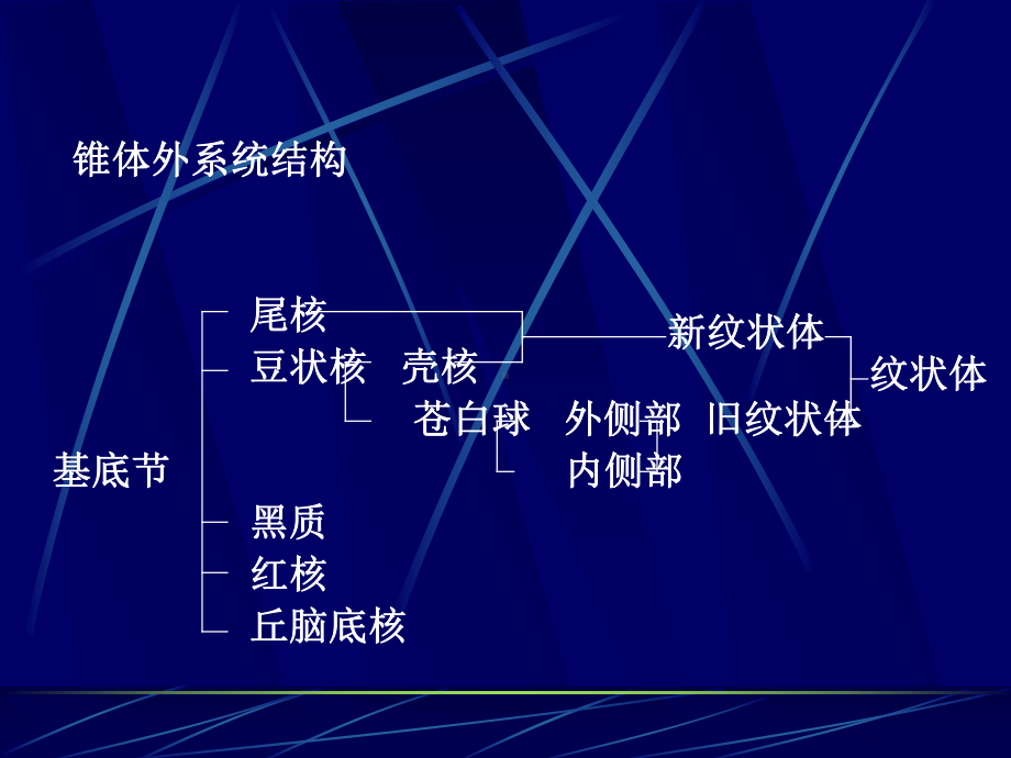 锥体外系疾病课件.ppt_第3页