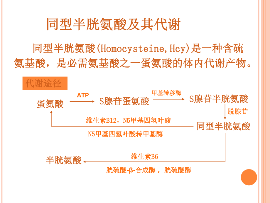 高同型半胱氨酸血症课件.pptx_第2页