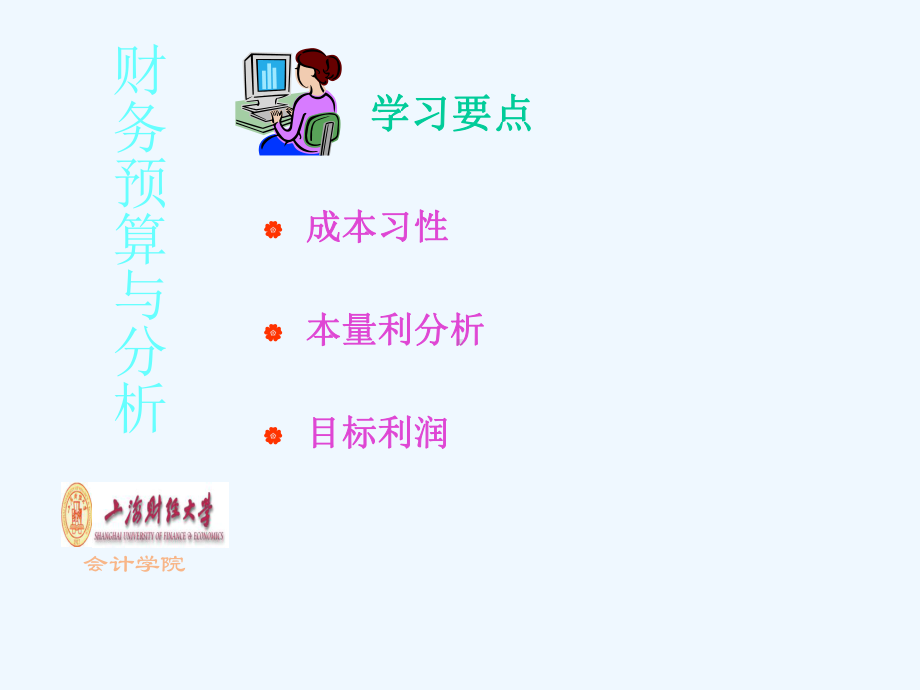 财务预算分析课件.ppt_第2页