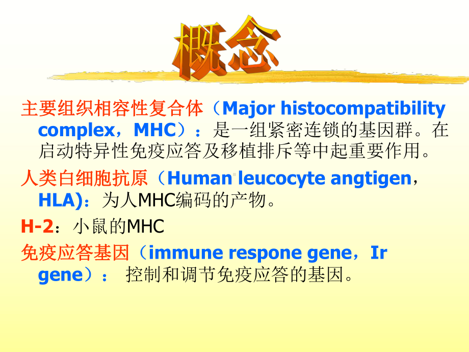 主要组织相容性复合体及其编码分子课件.ppt_第2页