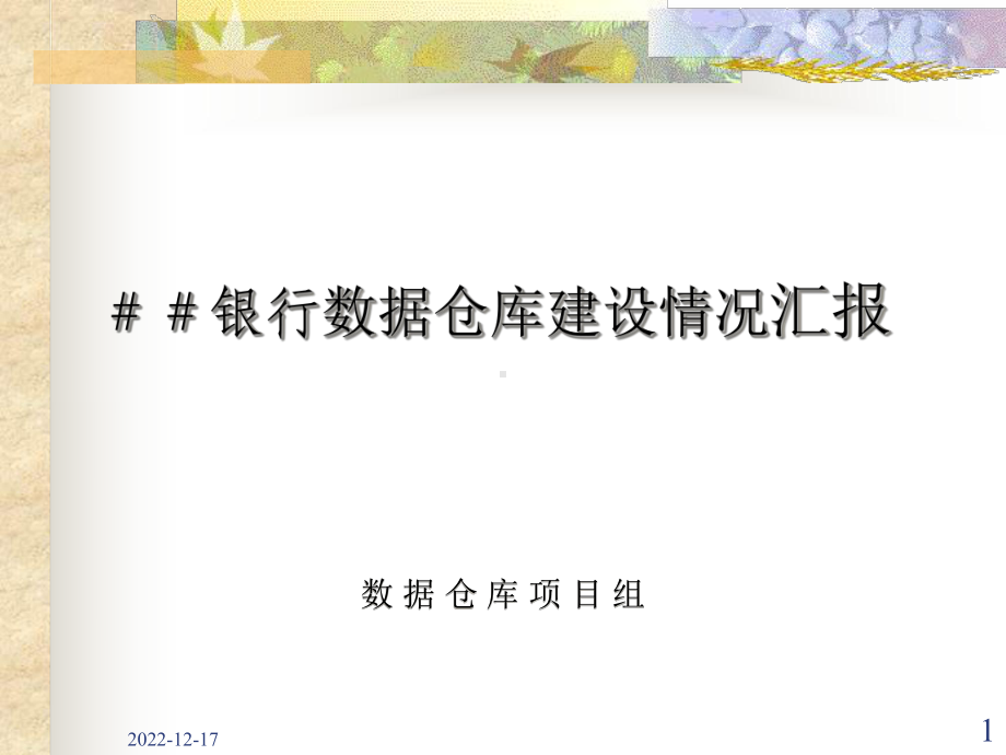 银行数据仓库建设情况汇报课件.ppt_第1页