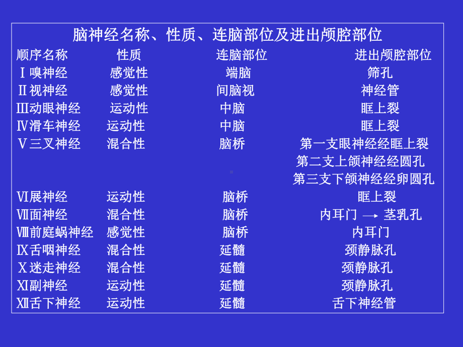 脑神经(上课讲义)课件.ppt_第2页