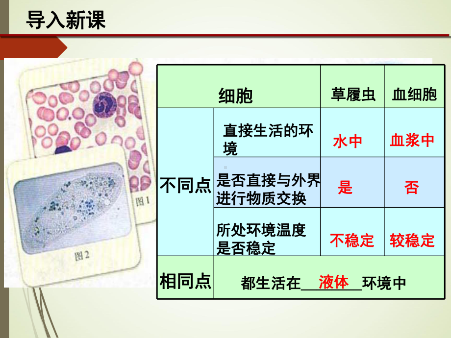 高中生物人教课标版必修3细胞生活的环境教学设计课件.ppt_第2页