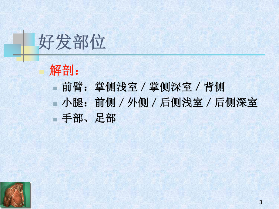 骨筋膜室综合征选编课件.ppt_第3页