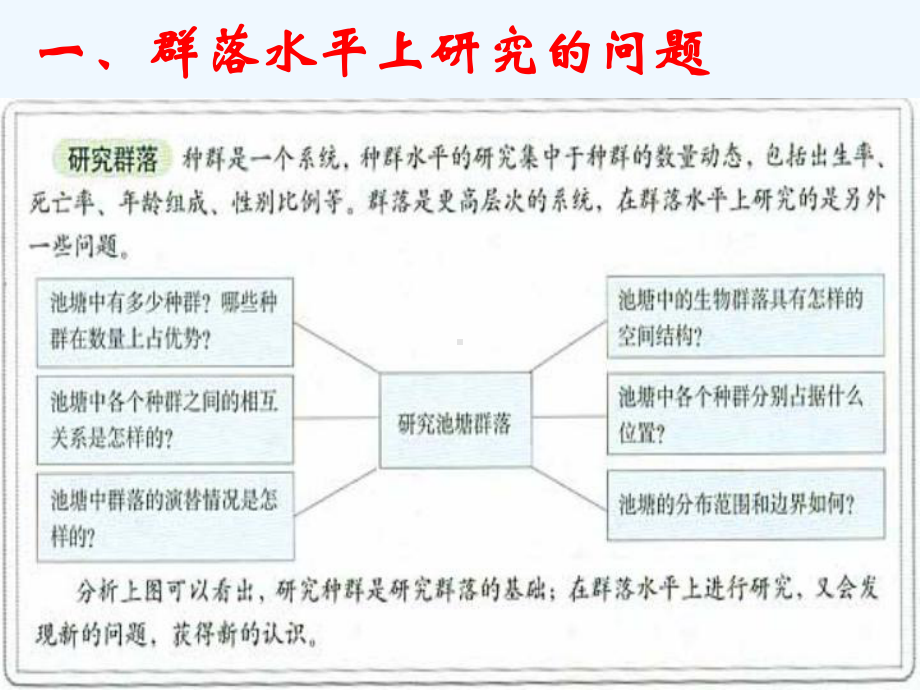 节群落的结构课件.ppt_第2页