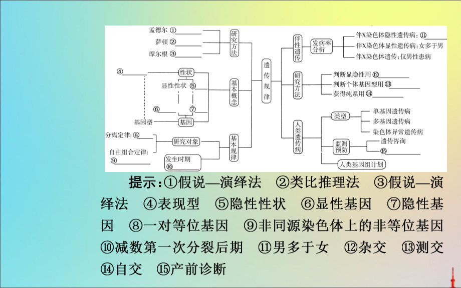 高考生物二轮复习专题六考点一孟德尔定律课件.ppt_第2页