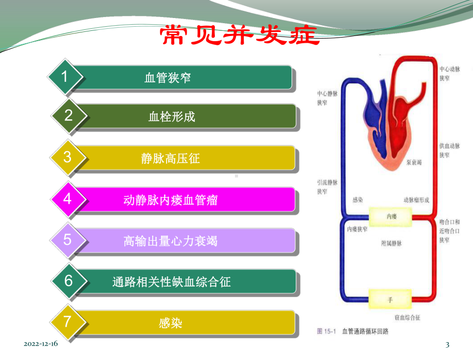 自体动静脉内瘘并发症处理参考课件.ppt_第3页