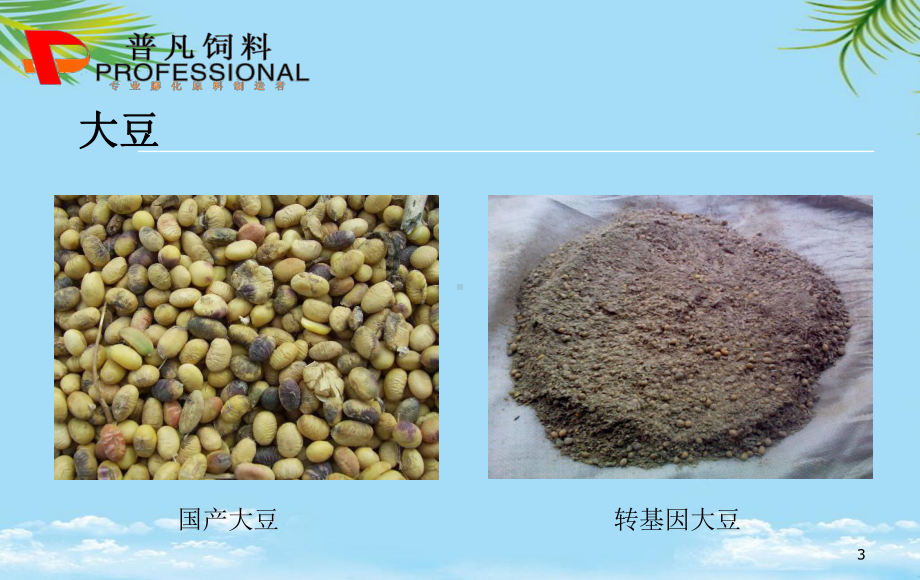 膨化大豆与膨化玉米最全课件.ppt_第3页