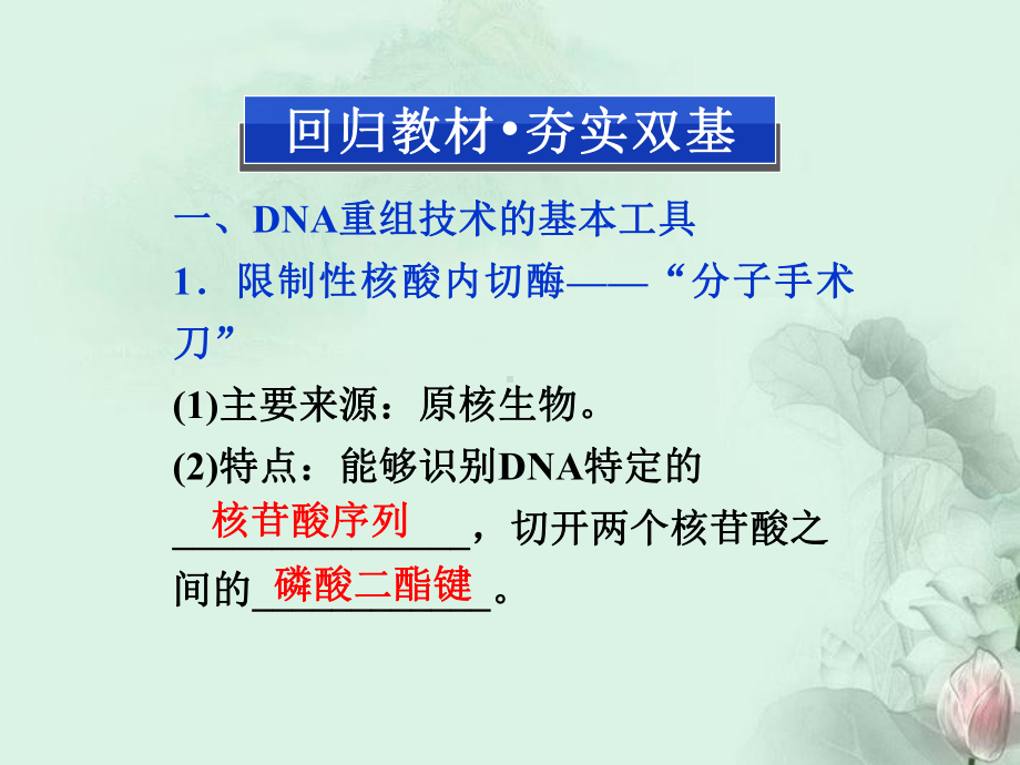 高考生物总复习-选修3专题1-基因工程(夯实双基+高频考点+专项突破+把脉高考)课件-新人教版选修3.ppt_第3页