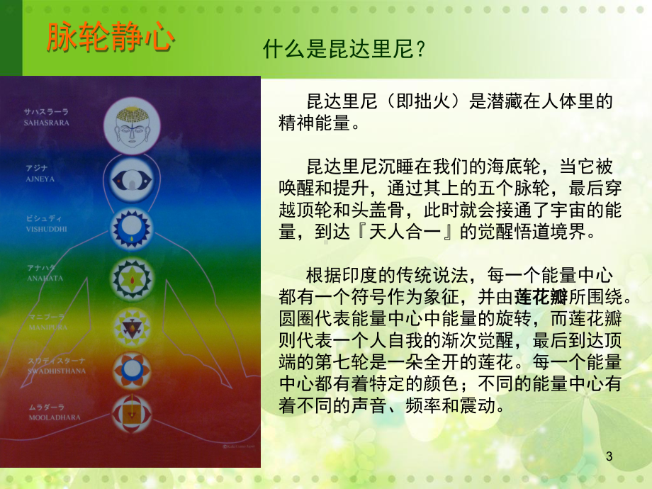 脉轮静心学习课件.ppt_第3页