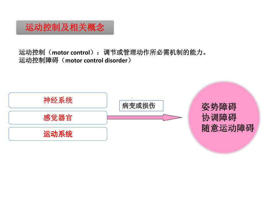 运动控制-运动学基础课件.ppt_第2页