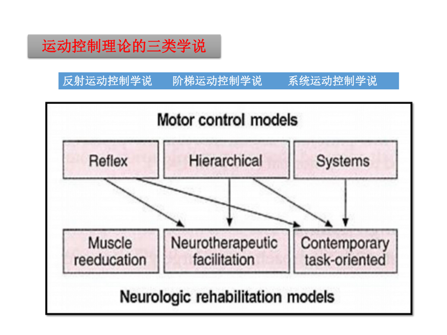 运动控制-运动学基础课件.ppt_第3页