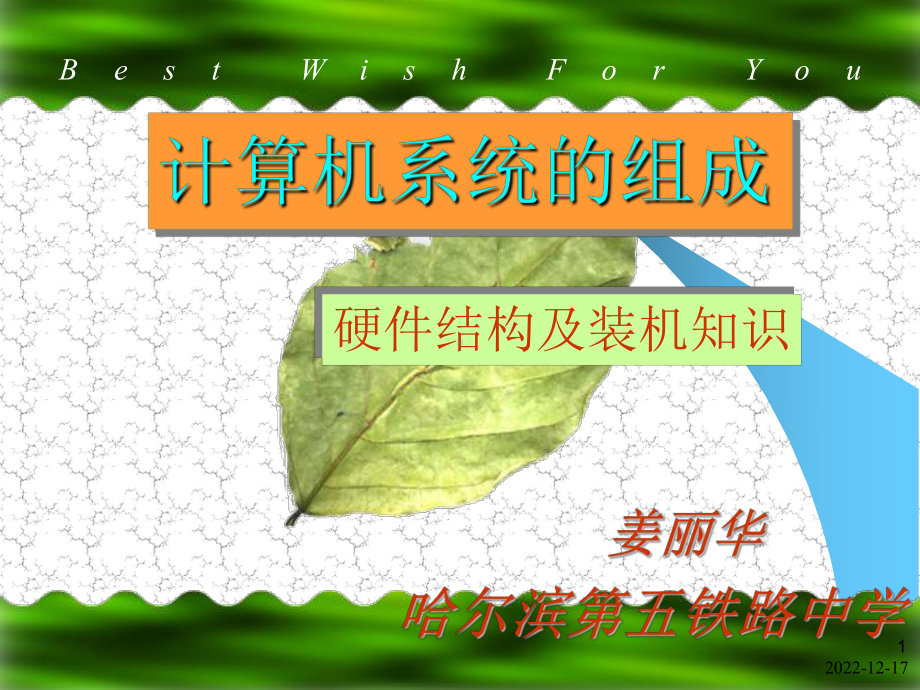 计算机系统的组成69215课件.ppt_第1页