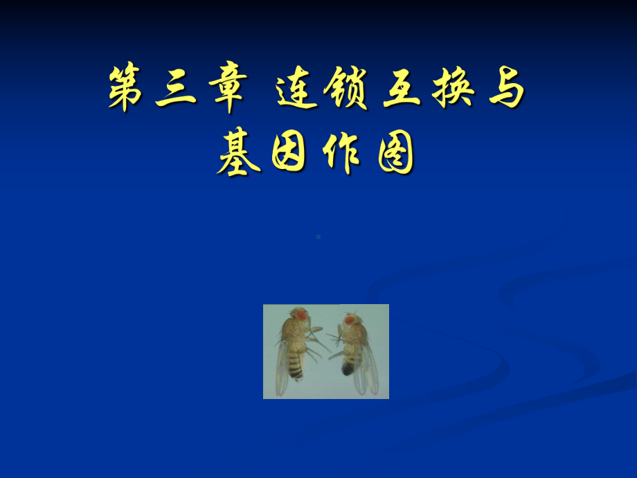 遗传学-第三章-连锁互换与基因作图B课件.ppt_第1页