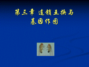 遗传学-第三章-连锁互换与基因作图B课件.ppt