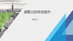 《民航团队拓展训练实务》课件凝聚力的有效提升.pptx