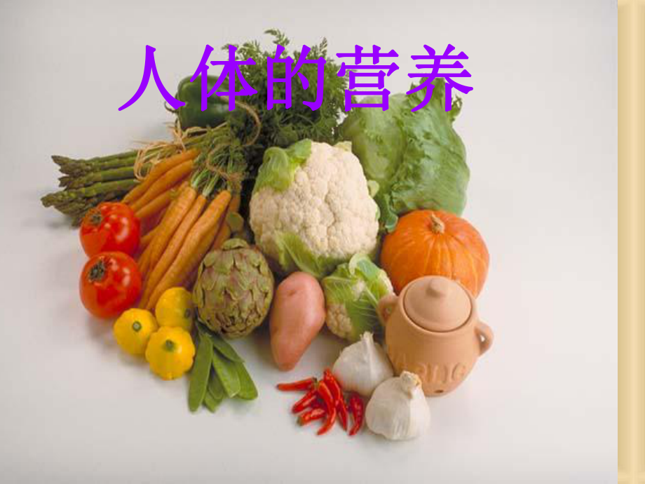 食物的消化和营养物质的吸收课件.ppt_第1页