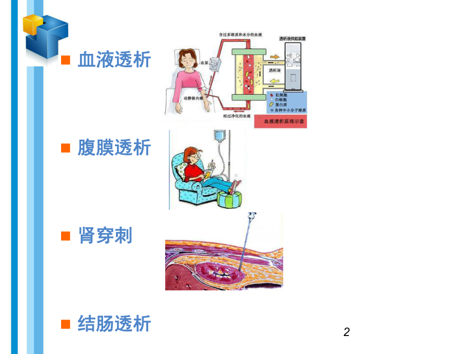 肾内科新技术、新项目课件.ppt_第2页