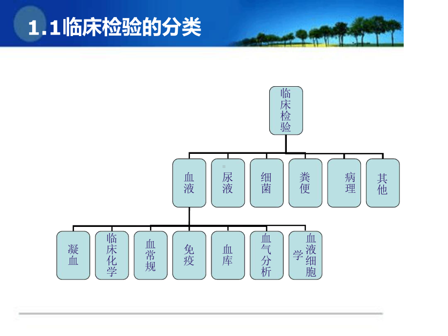 临床检验基础知识培训课件.ppt_第3页