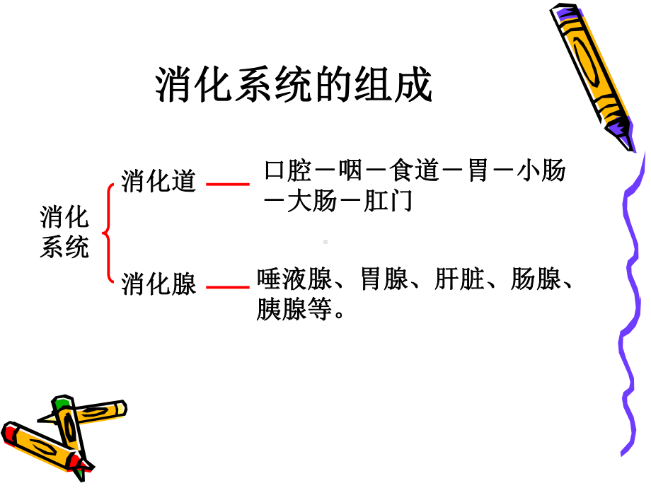 第二章-第二节-消化和吸收课件.ppt_第3页