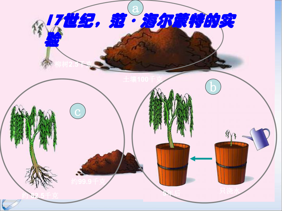 苏教版七年级上册生物第六章第七章复习专题-课件.ppt_第3页