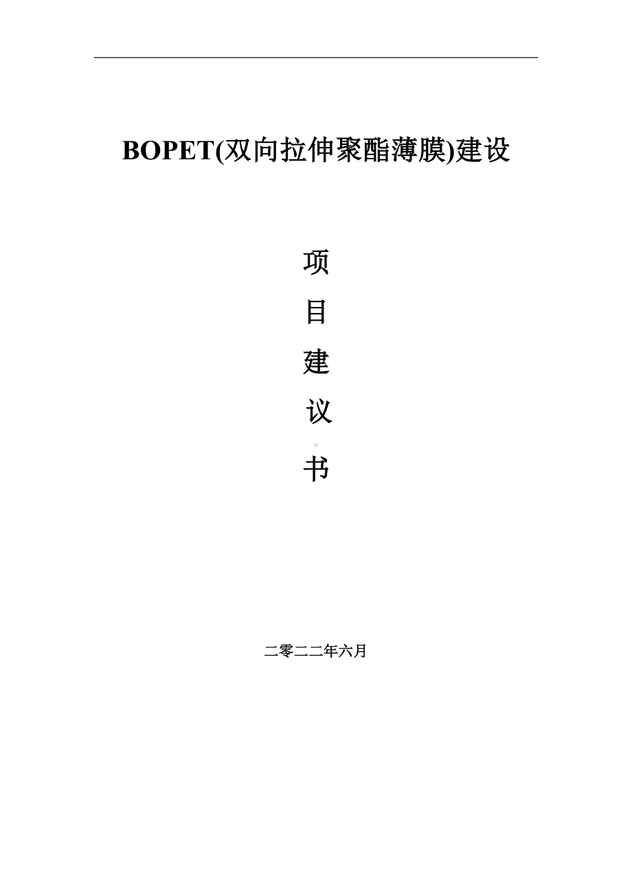 BOPET(双向拉伸聚酯薄膜)项目建议书（写作模板）.doc_第1页