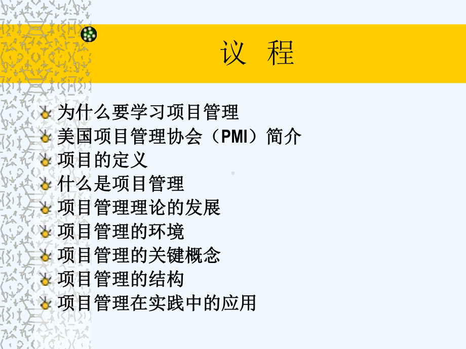 项目管理的关键概念及其在实践中的应用课件.ppt_第2页