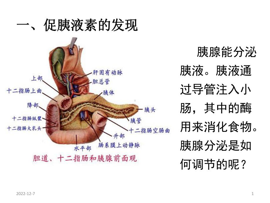 生物第二章动物的生命活动调节第三节高等动物的内分泌系统与体液调节人和高等动物的激素调节课件.ppt_第1页