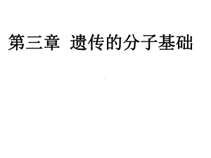 遗传的分子基础课件.ppt