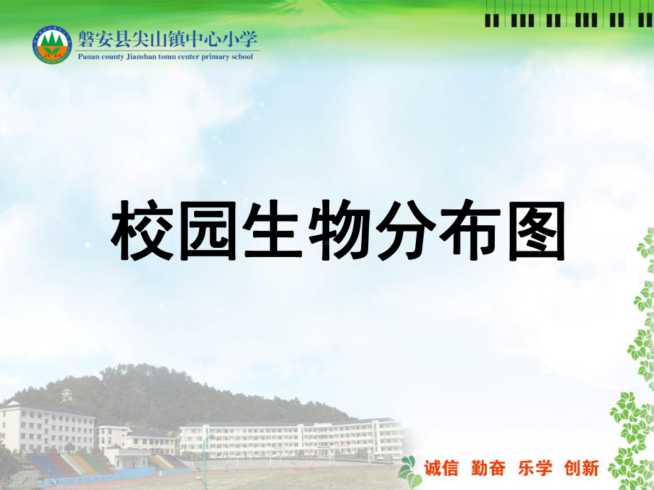 课件-教科版小学科学六年级上册《校园生物分布图》优质课.ppt_第1页