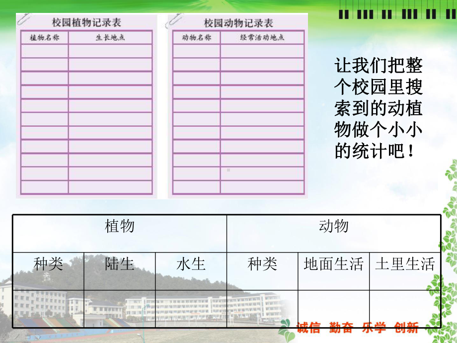 课件-教科版小学科学六年级上册《校园生物分布图》优质课.ppt_第2页