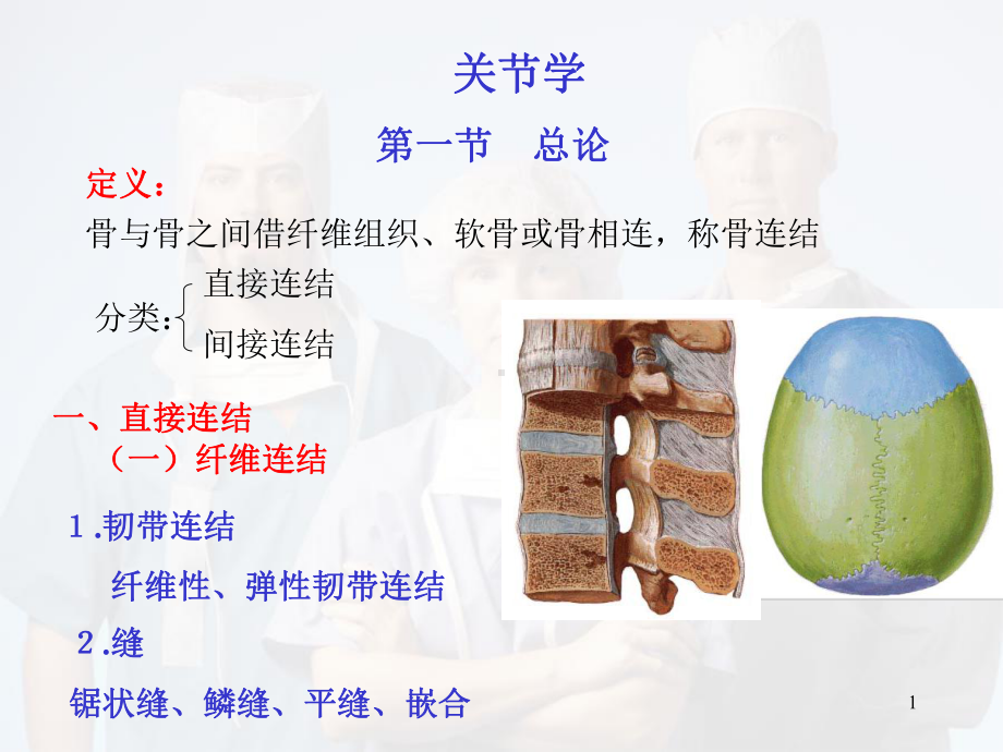 运动解剖学(关节)教学课件.ppt_第1页