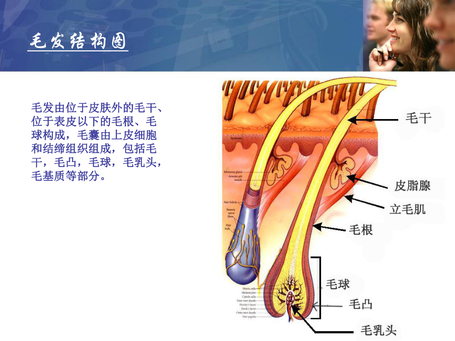 脱毛讲解课件-.pptx_第1页