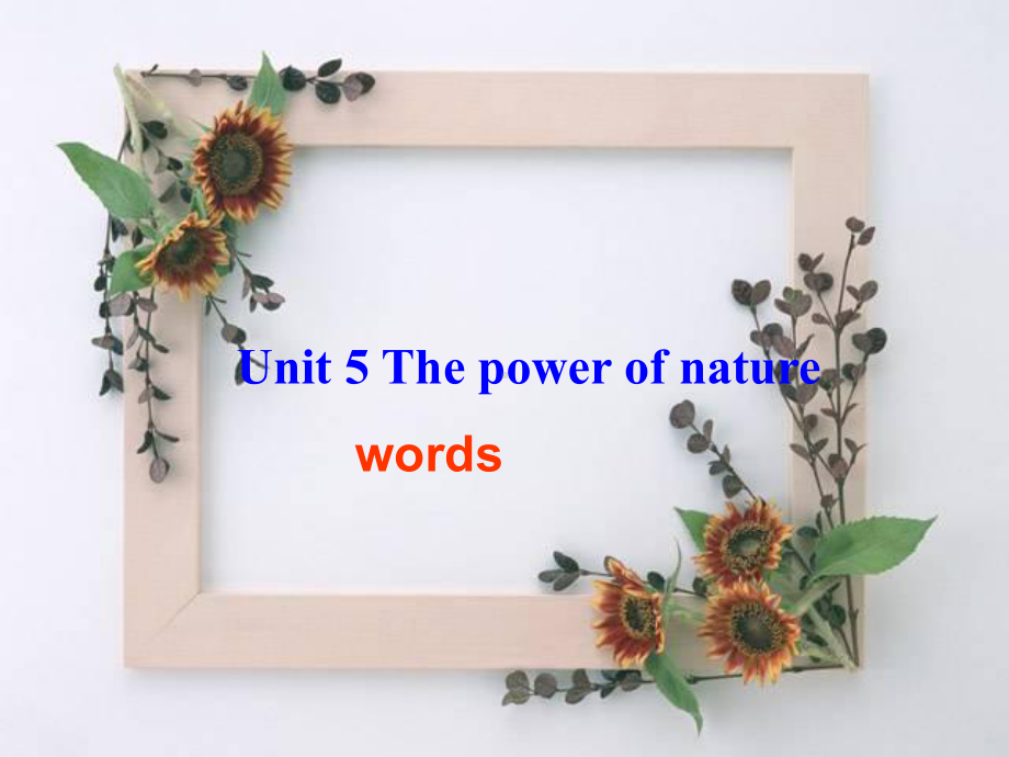 高中英语选修六《Unit+5+The+power+of+nature》words》课件.ppt（纯ppt,可能不含音视频素材）_第1页