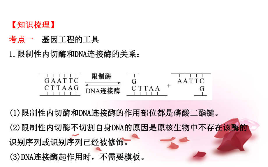 高考生物大一轮复习-111基因工程的原理课件-中图版选修3课件.ppt_第3页