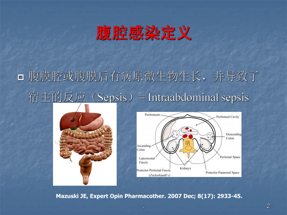 腹腔感染细菌学特点及抗生素治疗策略教学课件.ppt_第2页