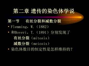 遗传的染色体学说课件.ppt