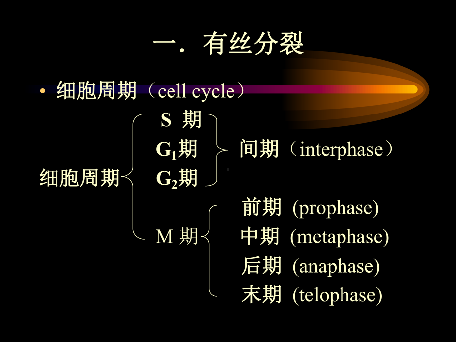 遗传的染色体学说课件.ppt_第2页