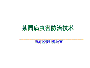 茶园病虫害防治技术课件.ppt