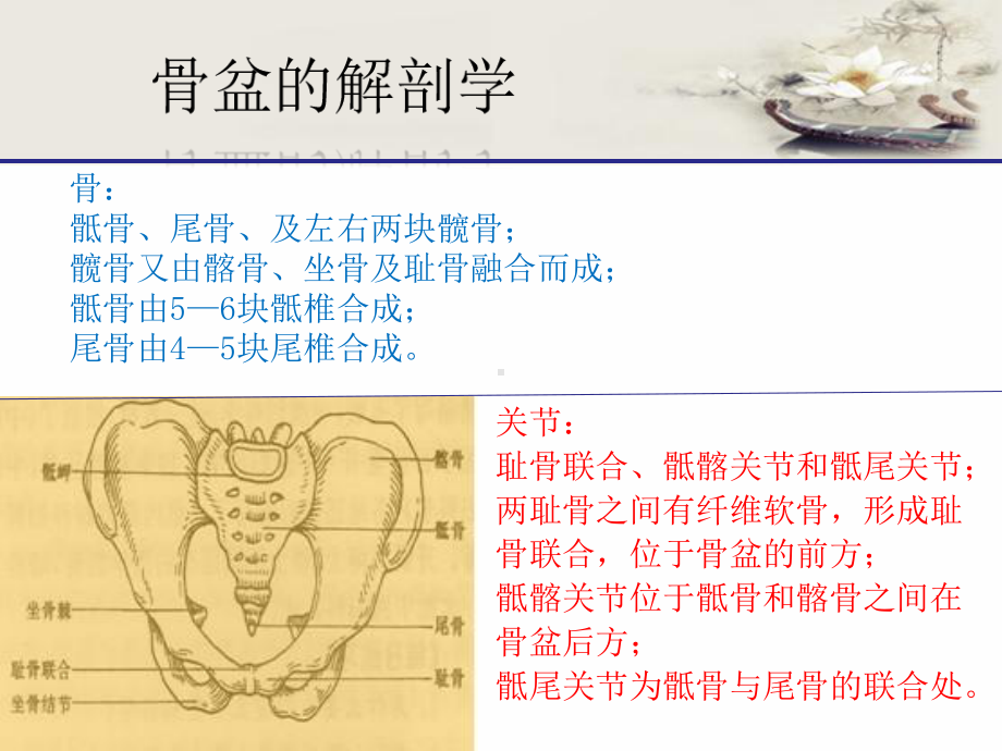 骨盆骨折护理-课件.ppt_第2页