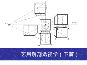 艺用解剖透视学(下篇)课件.ppt