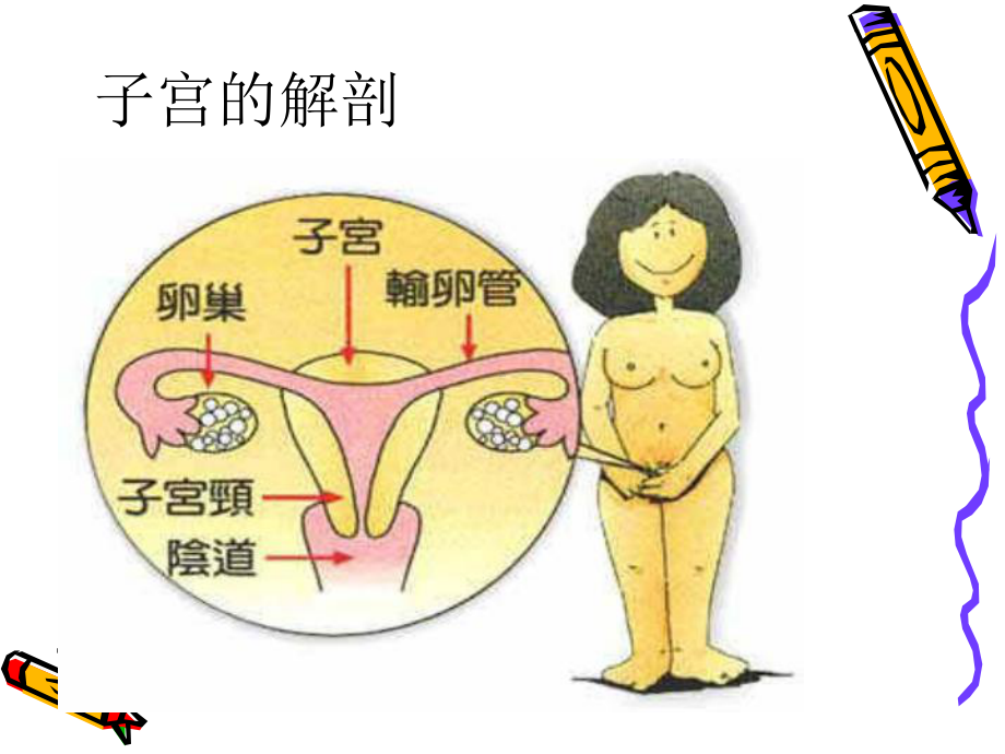 腹腔镜下子宫全切术中配合及护理课件.ppt_第2页